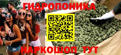 амф Севастополь