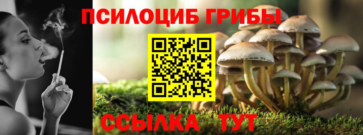 Псилоцибиновые грибы ЛСД Отрадный